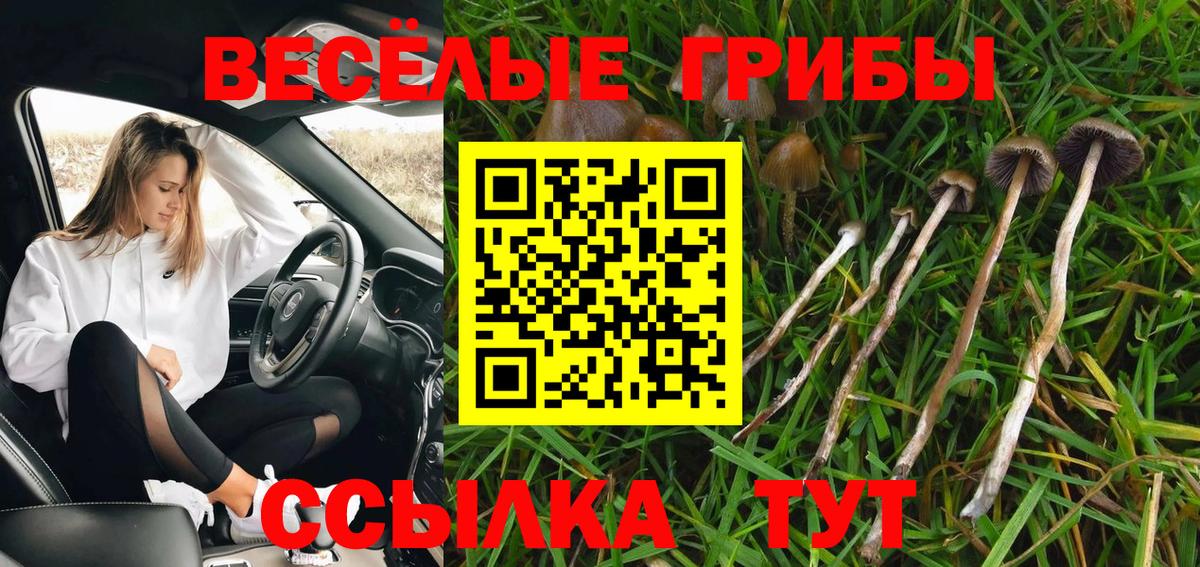 Галлюциногенные грибы MAGIC MUSHROOMS  Вход с VPN  Псилоцибиновые грибы мицелий  Назарово 